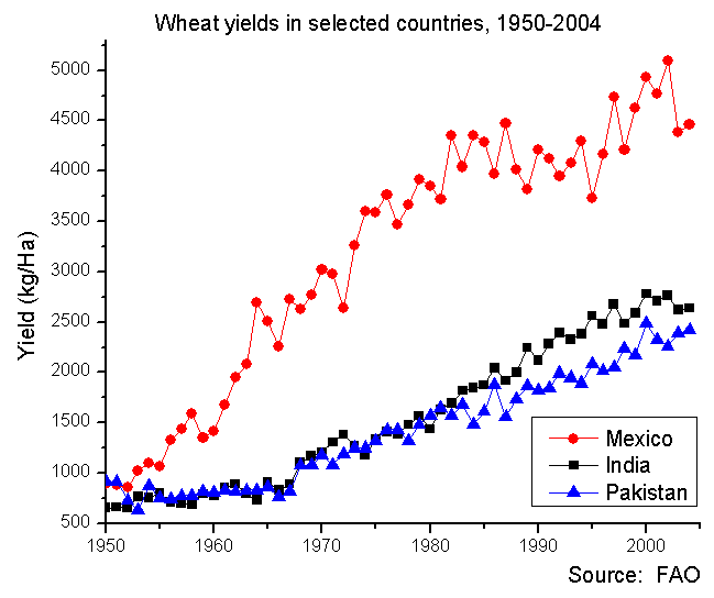 メキシコ・インド・パキスタンのコムギ平均収量の推移（1950-2004年）